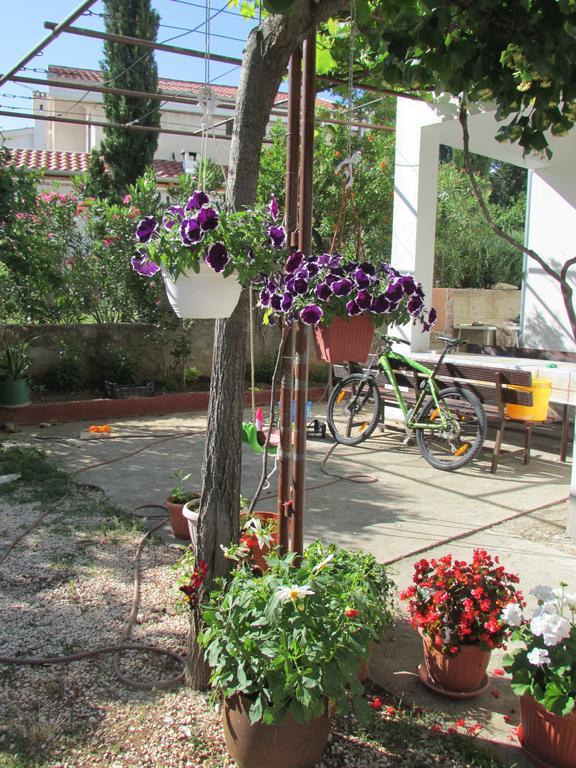 Apartmani I Sobe Grga Starigrad Paklenica Dış mekan fotoğraf